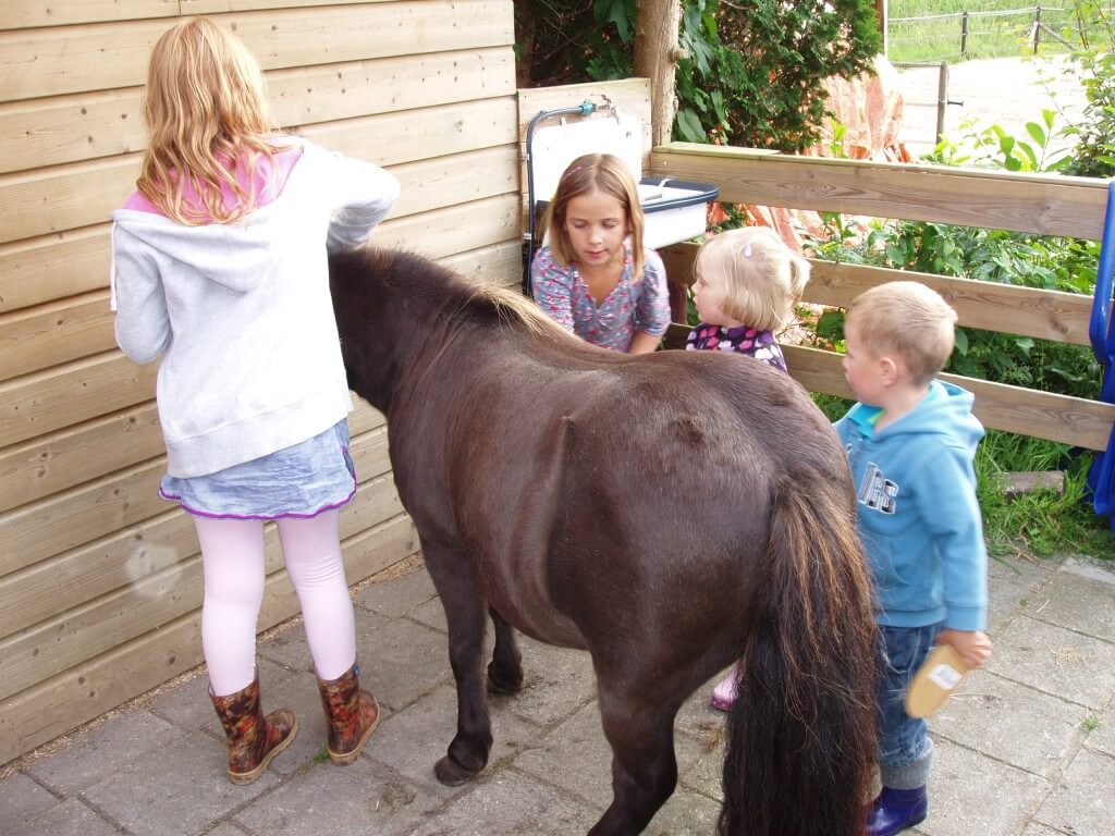 Tuttelen met de pony's