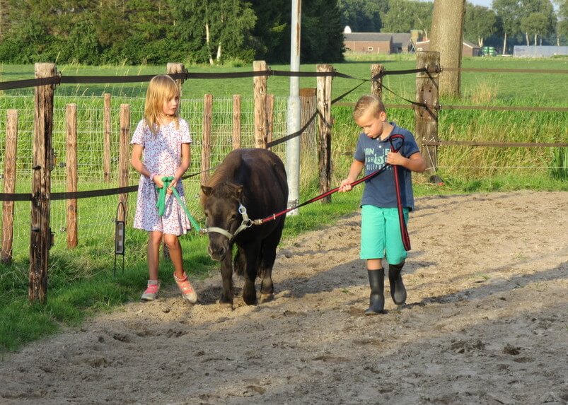 Wandelen met de pony's